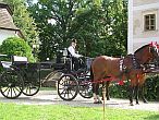 Schlosshotel Hedervary - Kutschenfahrt im Garten des 4-Sternehotels in Ungarn, nicht weit von Gyor