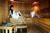 Wellness Zentrum mit Sauna  im Ket Korona Hotel - Balatonszarszo - Wellness Urlaub am Plattensee