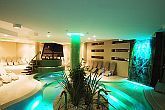 Wellness-Wochenende in Gardony Vital Hotel Nautis Wellness Hotel