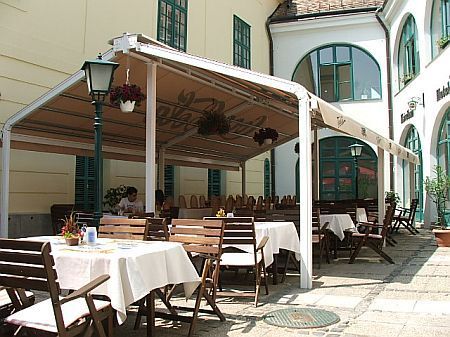 Hotel Arany Griff in Papa, mit Terrasse