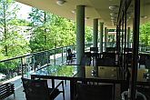 Wellness Hotel Gyula**** Terrasse von Restaurant und Café