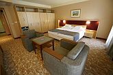 4* Unterkunft in Harkany - Hotelzimmer in Drava Thermal Hotel