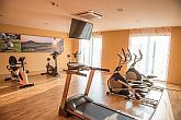 Vulkan Hotel**** Fitnessraum Nutzung in Halbpension